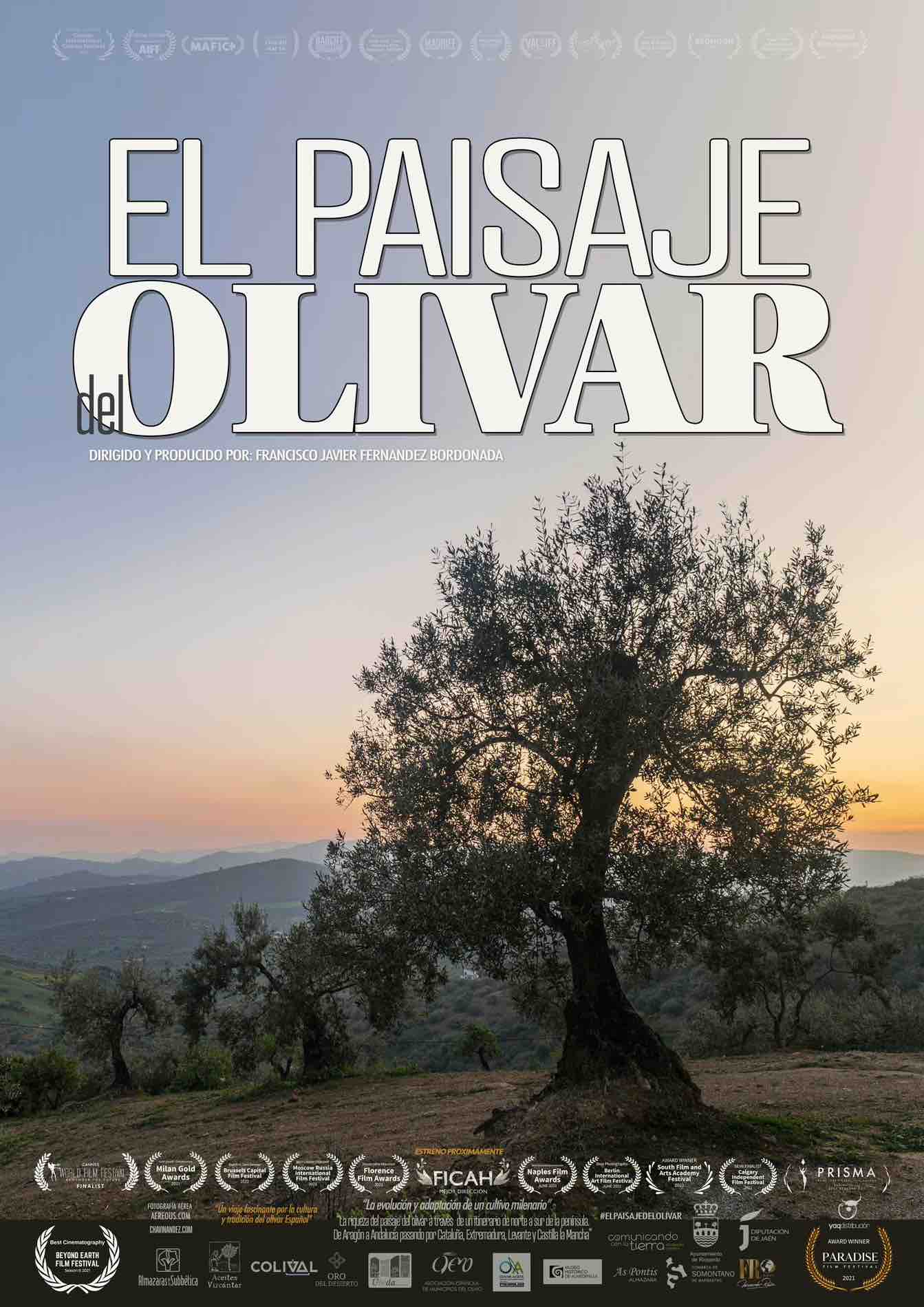 El_paisaje_del_olivar